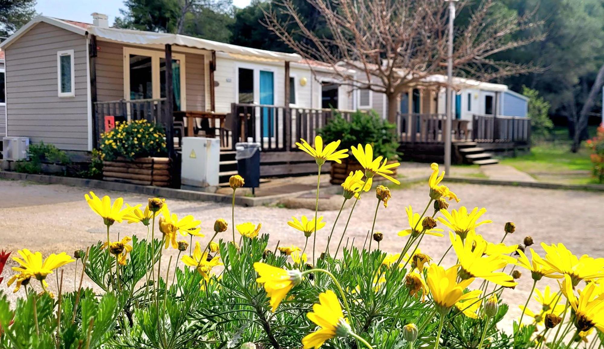 Camping Aux Portes De Cassis Roquefort-la-Bédoule Dış mekan fotoğraf