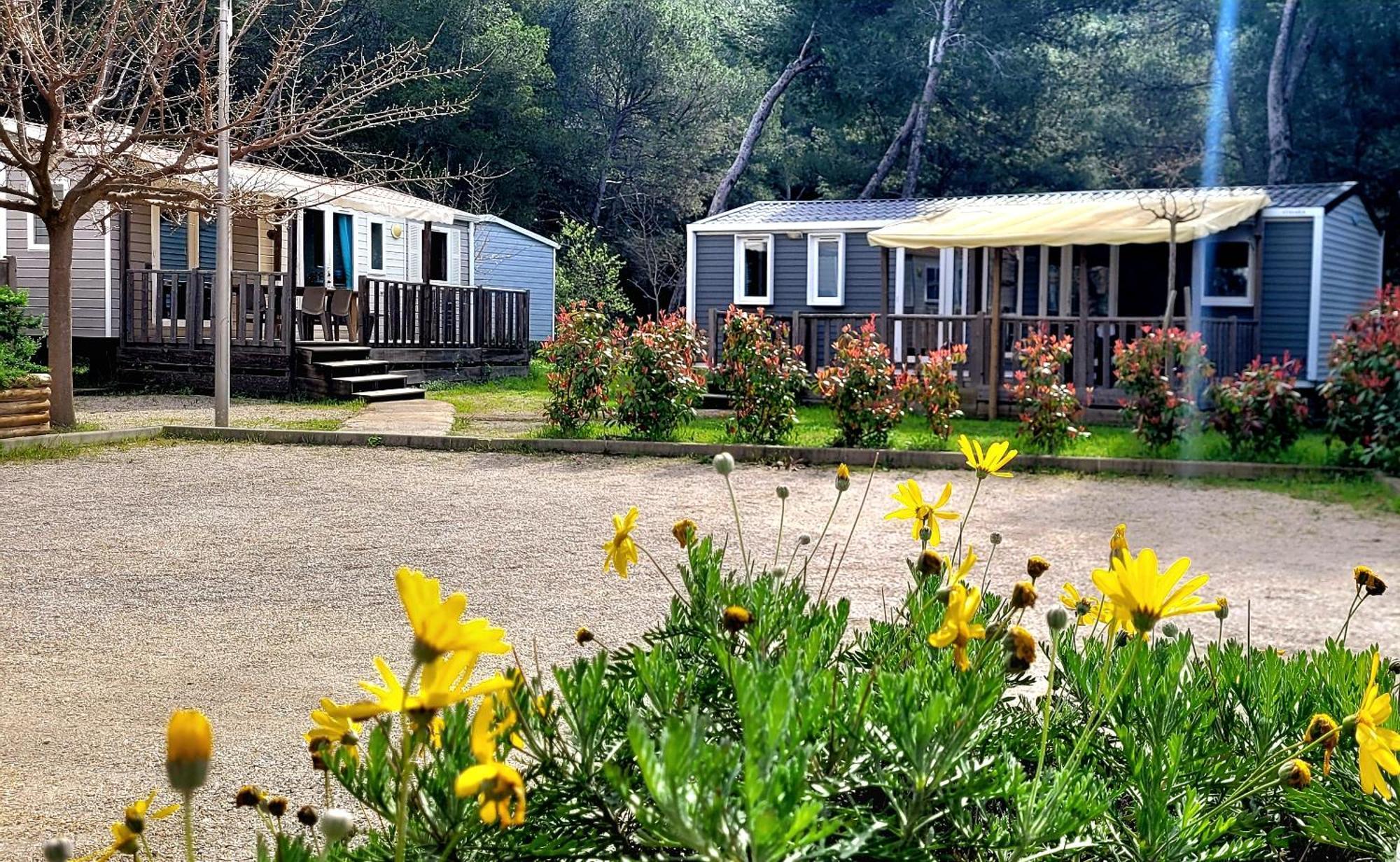 Camping Aux Portes De Cassis Roquefort-la-Bédoule Dış mekan fotoğraf